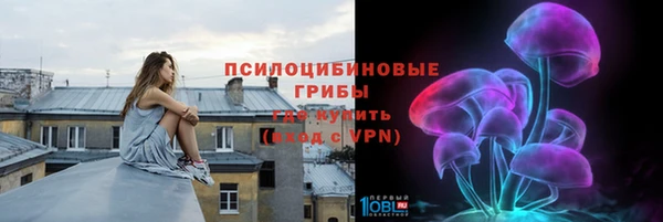 тгк Алзамай
