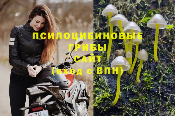 ГАЛЛЮЦИНОГЕННЫЕ ГРИБЫ Алексин