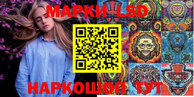 МДПВ Новокубанск
