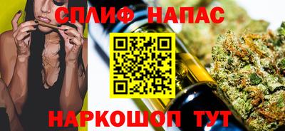 МДПВ Новокубанск