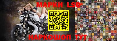 МДПВ Новокубанск
