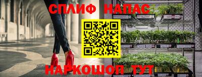 МДПВ Новокубанск