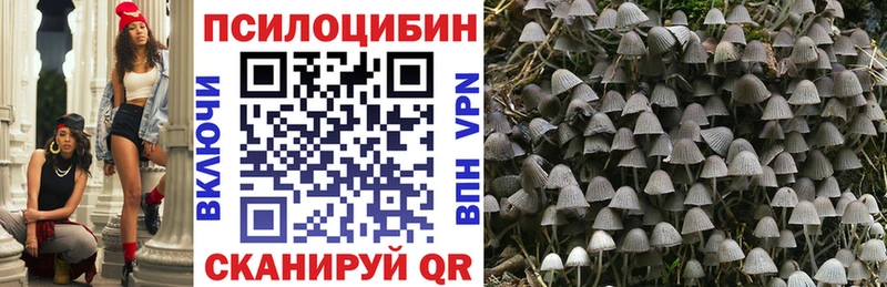Псилоцибиновые грибы прущие грибы  продажа наркотиков  Павлово 
