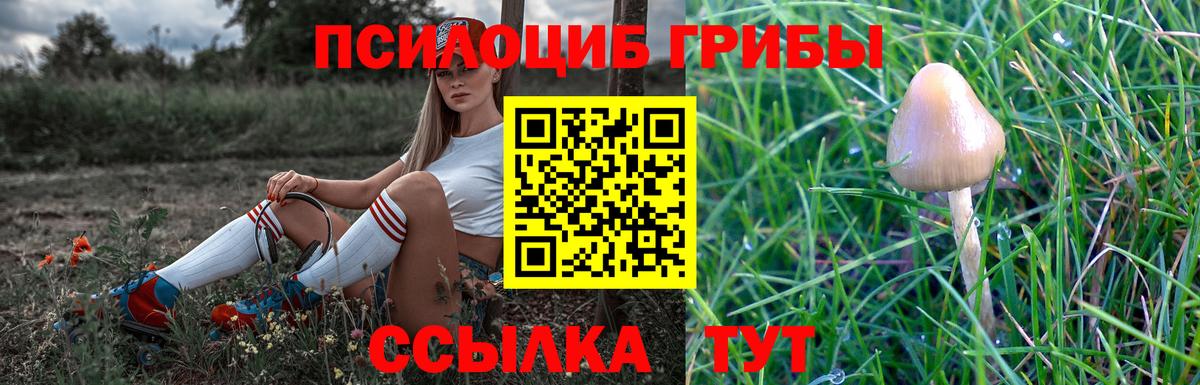 сколько стоит  Галлюциногенные грибы GOLDEN TEACHER  Вход с VPN  Павлово 